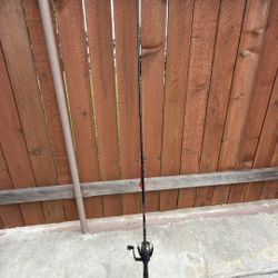 Ugly Stik Fishing Pole 