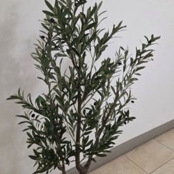 6ft Faux Olive Tree in a 12in (Diameter) Maroon Planter @ Lasting Creations