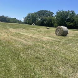 1st Cutting Hay