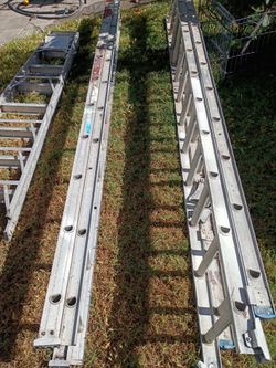 Ladders/ Escaleras