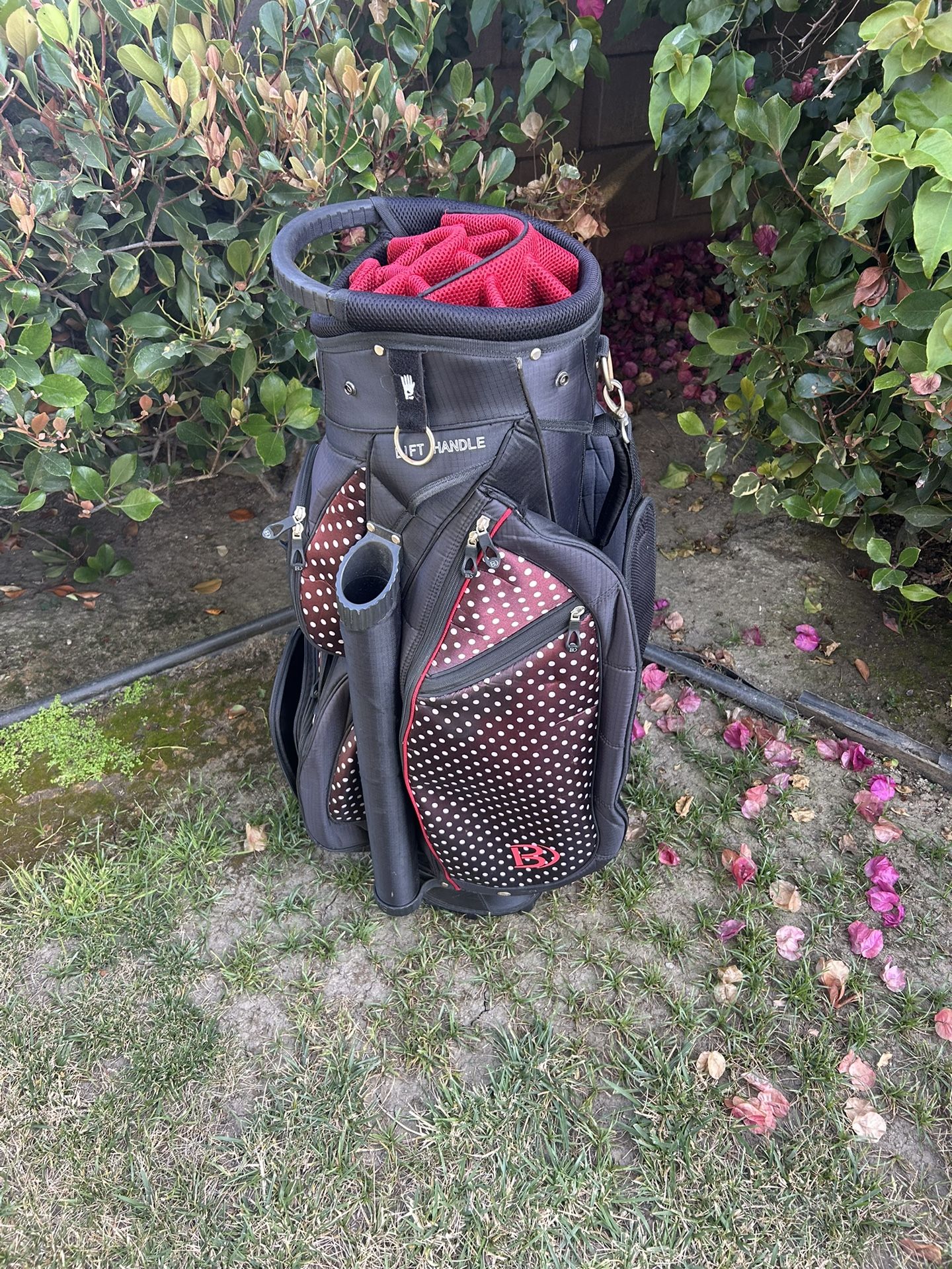 Bennington Polka Dot Golf Bag