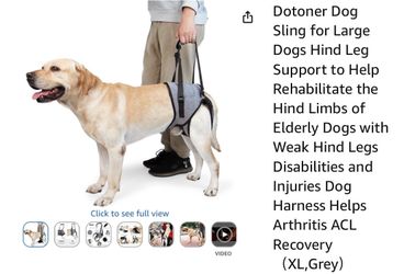 Dotoner Dog Sling for Large Dogs Hind Leg Support to Help Rehabilitate the Hind Limbs of Elderly Dogs with Weak Hind Legs Disabilities and Injuries Do