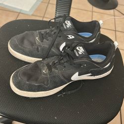 Nike SB size 8.5