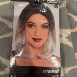 Nib Silver ombre Wig