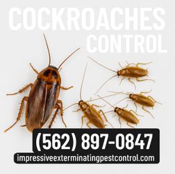 COCKROACH GEL FOR KITCHEN AND BATHROOM 