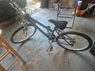 Roasmaster Bicycle