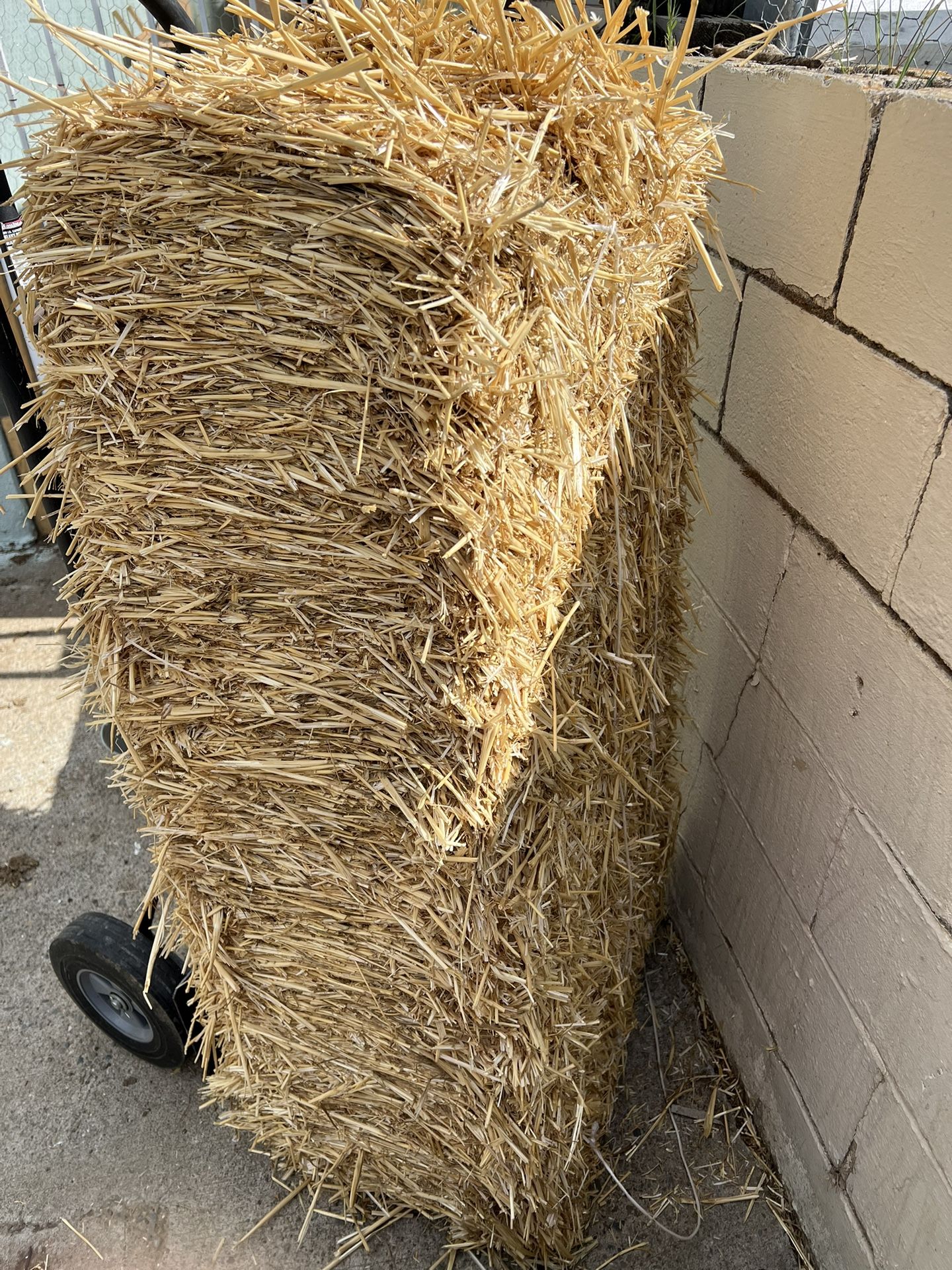 Hay