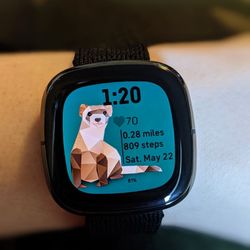 Fitbit Sense