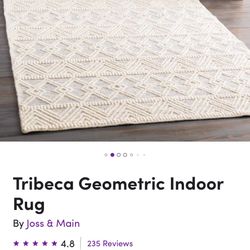 120” X 96” Indoor Rug