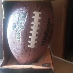Wilson Touchdown Football
