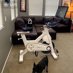 🚴 MYX Fitness Exercise Bike – Great Condition (Missing Power Cord)