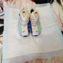 Nike Air Max Women's 