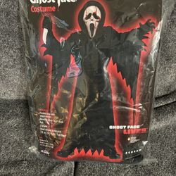Costume