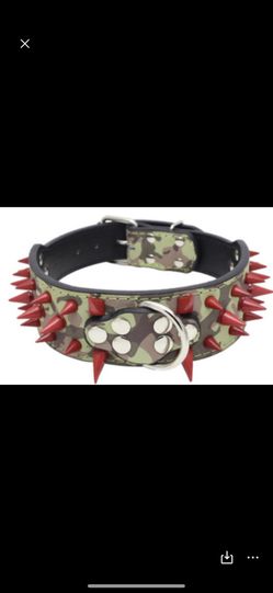 Dog Collars