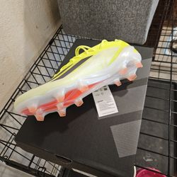 Soccer Shoes 
