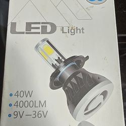 LED Headlight Bulbs