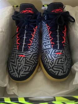 LBJ NXXT  Genesis size 12 men