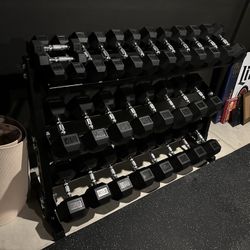 5-75lbs Dumbbells w/Rack
