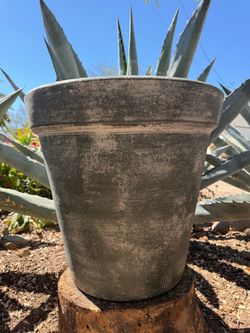 Extra Large Vase Pot Planter