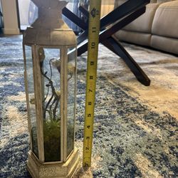 Floral Terrarium/ Floral Decor