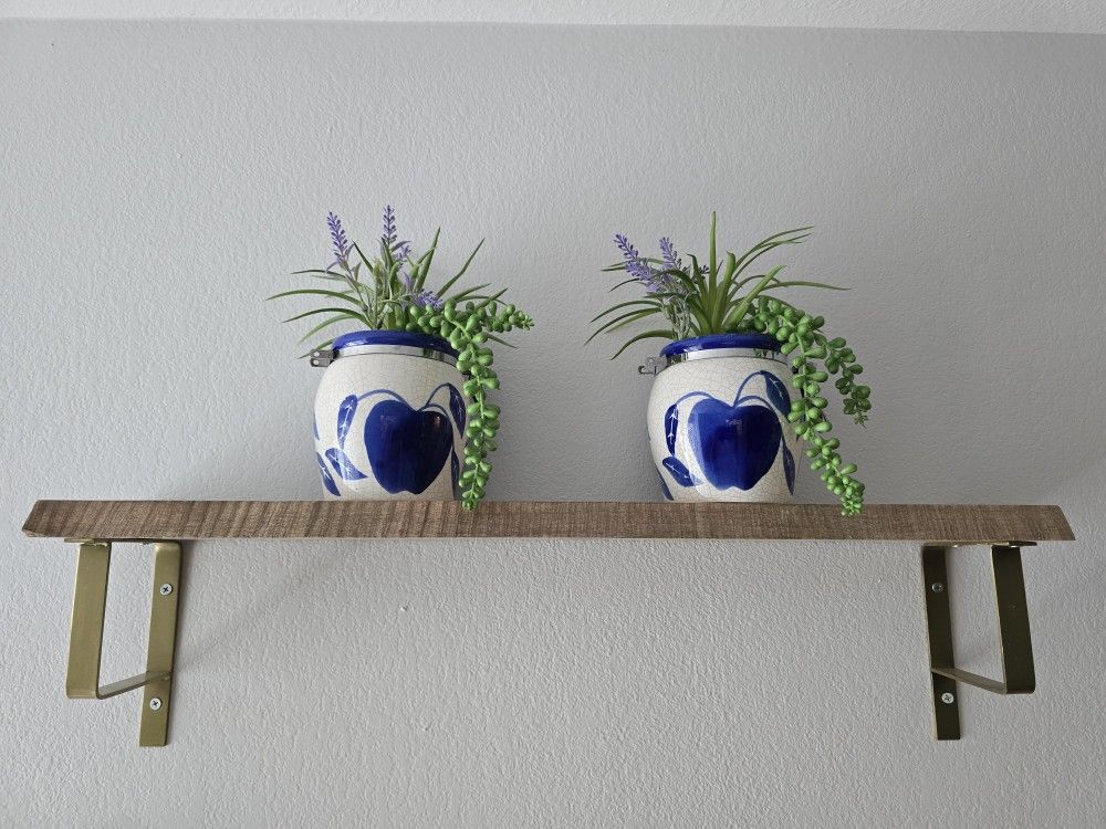 $10 Assorted House Decor Plants