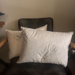 Two 15 X 21 IN Pillow Inserts