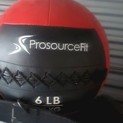 6 LB.  WALL BALL 