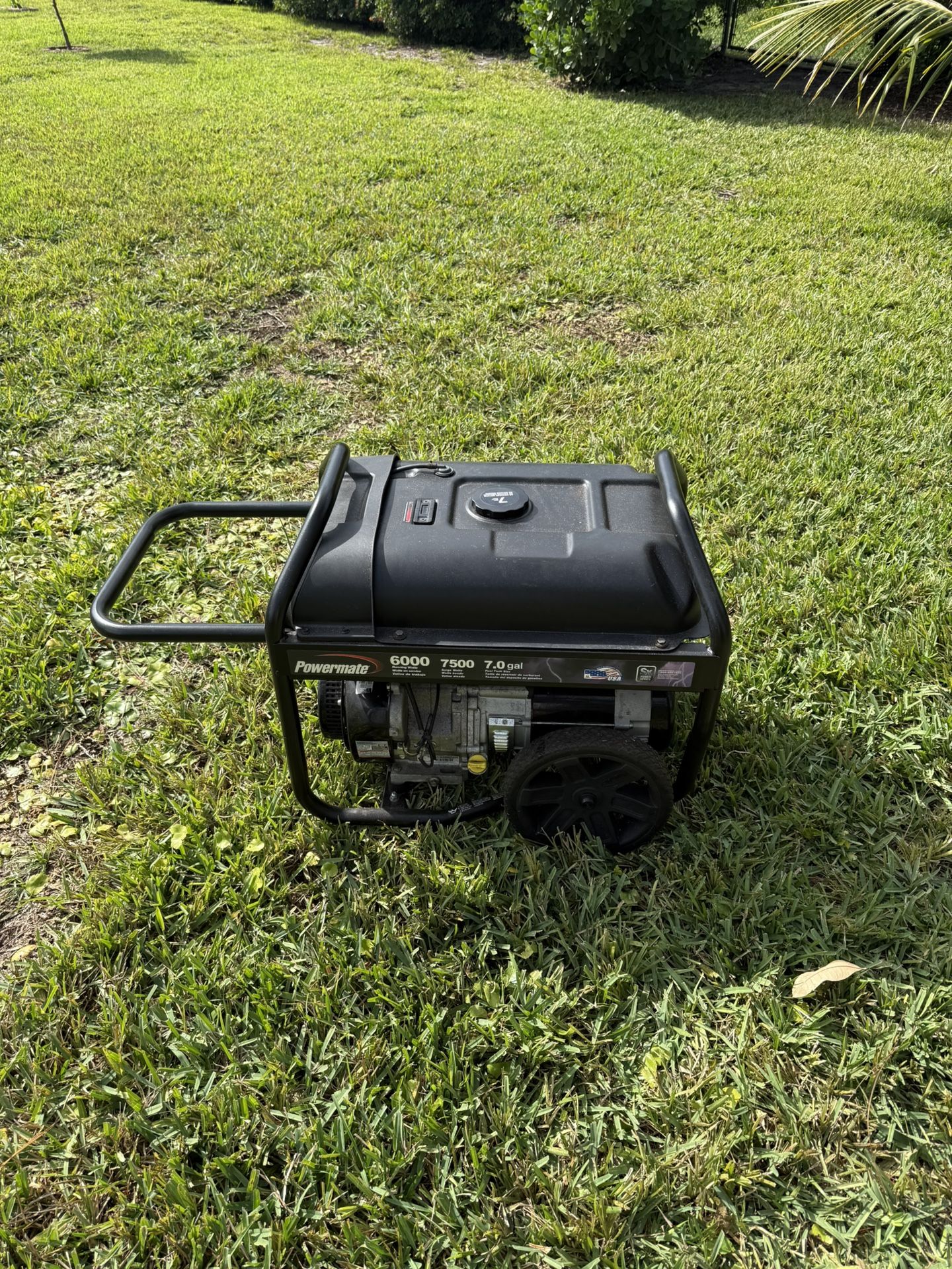 Powermate PM0126000R Portable Generator 6000 Watt