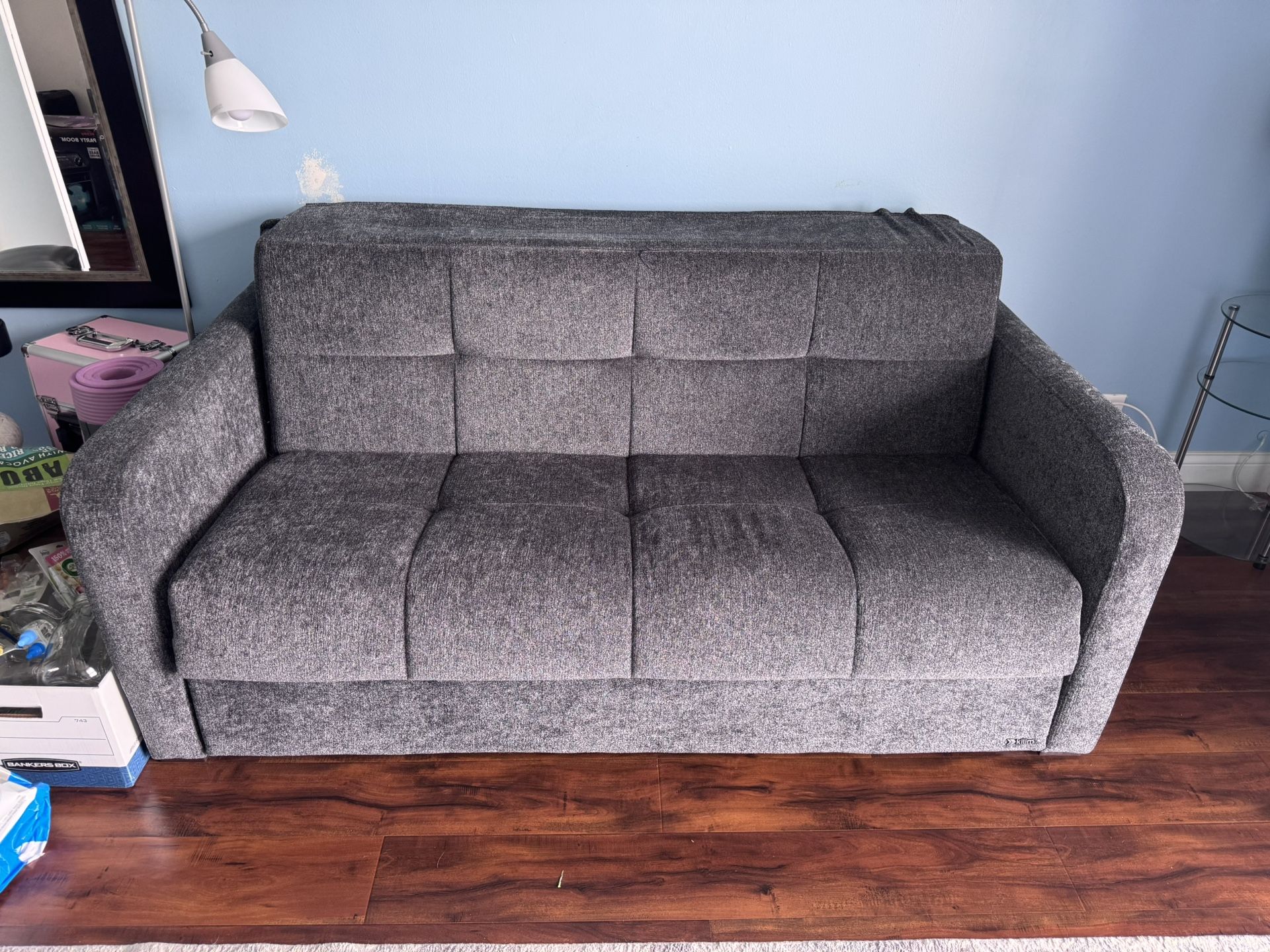Sleeper Sofa