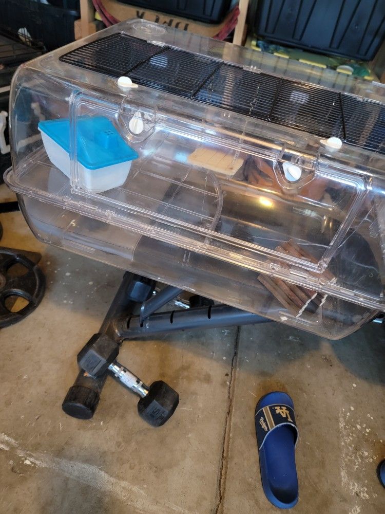 Hamster Cage With All Toys And Tunnels