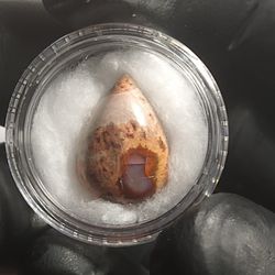 Natural Cantera Mexican Matrix Opal (not much flash)