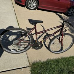 Bicycle For Sale