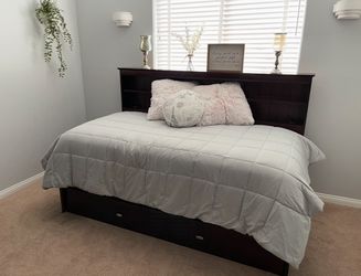 Discovery World Furniture Twin Bookcase Daybed with 3 Drawers and Twin Trundle, Espresso - Frame and Two Twin Size Mattresses Included