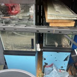 Fish Tank Aquarium Freshwater 