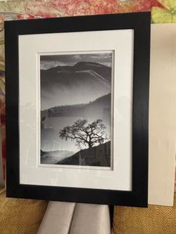 Black Oak by Jean Miele Picture frame painting