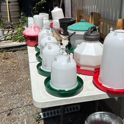 Assortment Of Chicken/poultry Waterers
