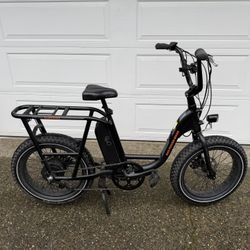 radrunner ebike