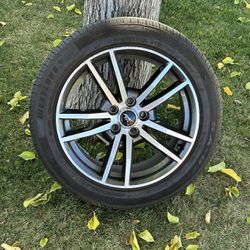 Oem Mustang Wheel And Tire 1x