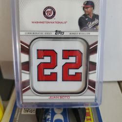 Nationals Juan Soto Patch  Card