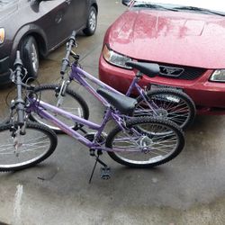 Free BIKE 