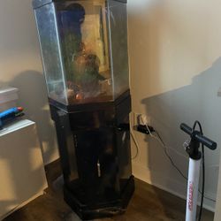 Animal Tank 
