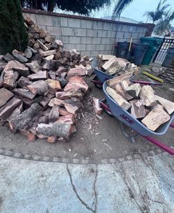 Bonfire Firewood for sale 🔥🪵🏖️