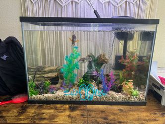 2 - 30 gallon fish tanks. TANKS ONLY￼
