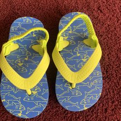 Size Toddler 6