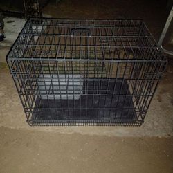 CAGES