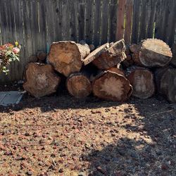 Pine Wood Stumps Free 