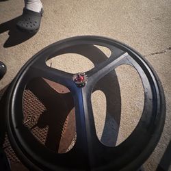3 Spike Back Rim 