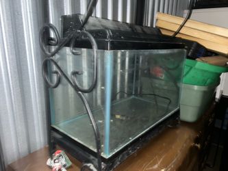 Fisk tank