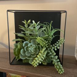 Faux Succulent In Frame 