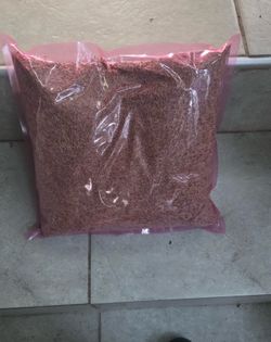 marathon seeds grass